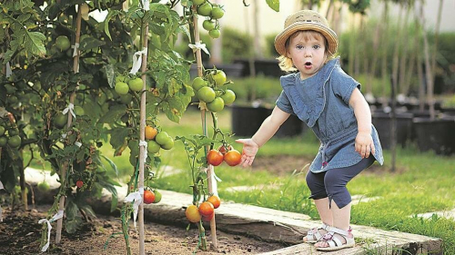 Лунный посевной календарь на февраль 2024