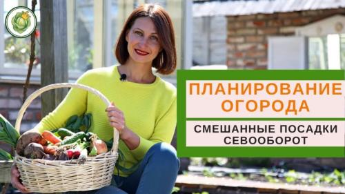 Лунный посевной календарь на февраль 2024