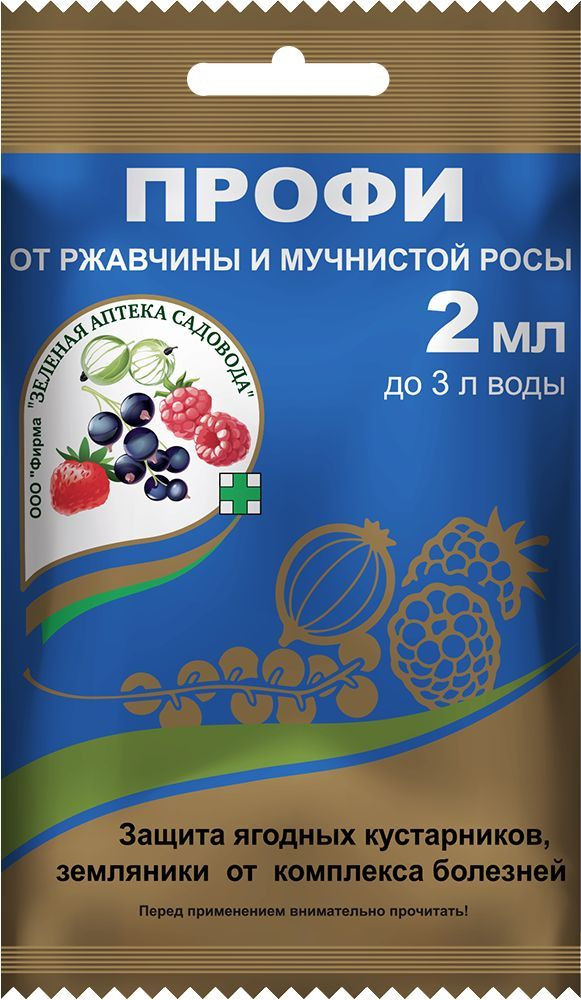 Болезни ягодных культур: когда и как обрабатывать, чтобы не потерять урожай
