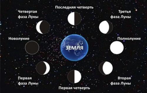 Лунный посевной календарь на февраль 2024