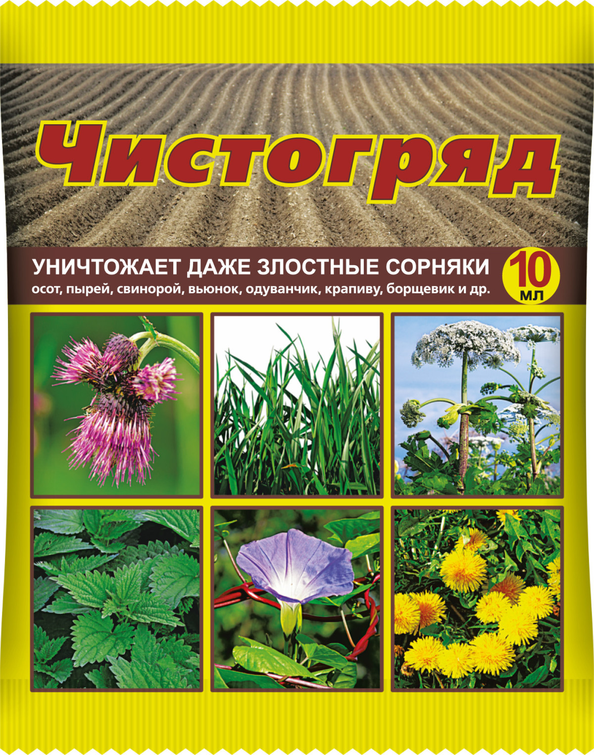 Как избавиться от сорняков на участке быстро и надёжно? Как избавиться от сорняков на участке быстро и надёжно?