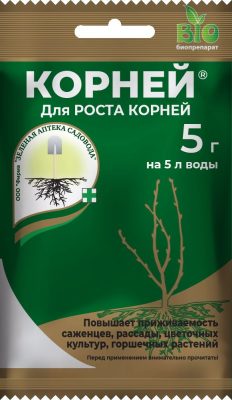 Почему черенки не укореняются и как повысить их приживаемость?