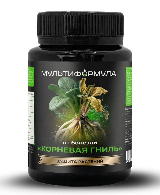 Корни растений гниют, плоды портятся: первые признаки опасных болезней Корни растений гниют, плоды портятся: первые признаки опасных болезней