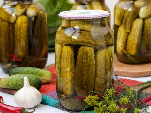 Мастер-класс по выращиванию огурцов: от семени до сказочного урожая! Мастер-класс по выращиванию огурцов: от семени до сказочного урожая!