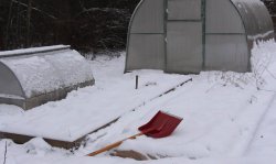 Умный огород начинается осенью: всё о подзимних посевах Умный огород начинается осенью: всё о подзимних посевах